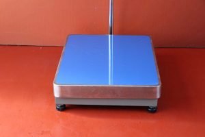 Balanza Electrónica de Plataforma e-Accura Sb-51 de 500 kg