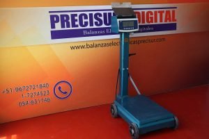 Balanza Electromecánica Saguita 2P de 500 kg