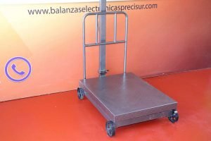 Balanza Electrónica de Plataforma Patrick's de 600 kg
