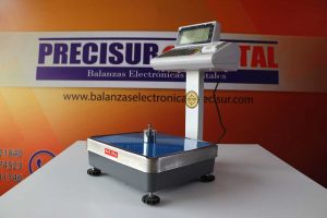 T-SCALE-ETIQUETADORA-60-Kg-MODELO-PPP-60-(5)