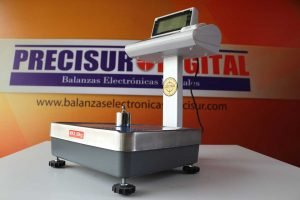T-SCALE-ETIQUETADORA-60-Kg-MODELO-PPP-60-(8)