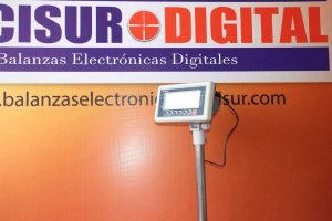 Balanza Electrónica de Plataforma Tscale BW de 300 kg