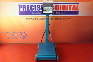 Balanza Electromecánica e-Accura Sb-51 de 500 kg